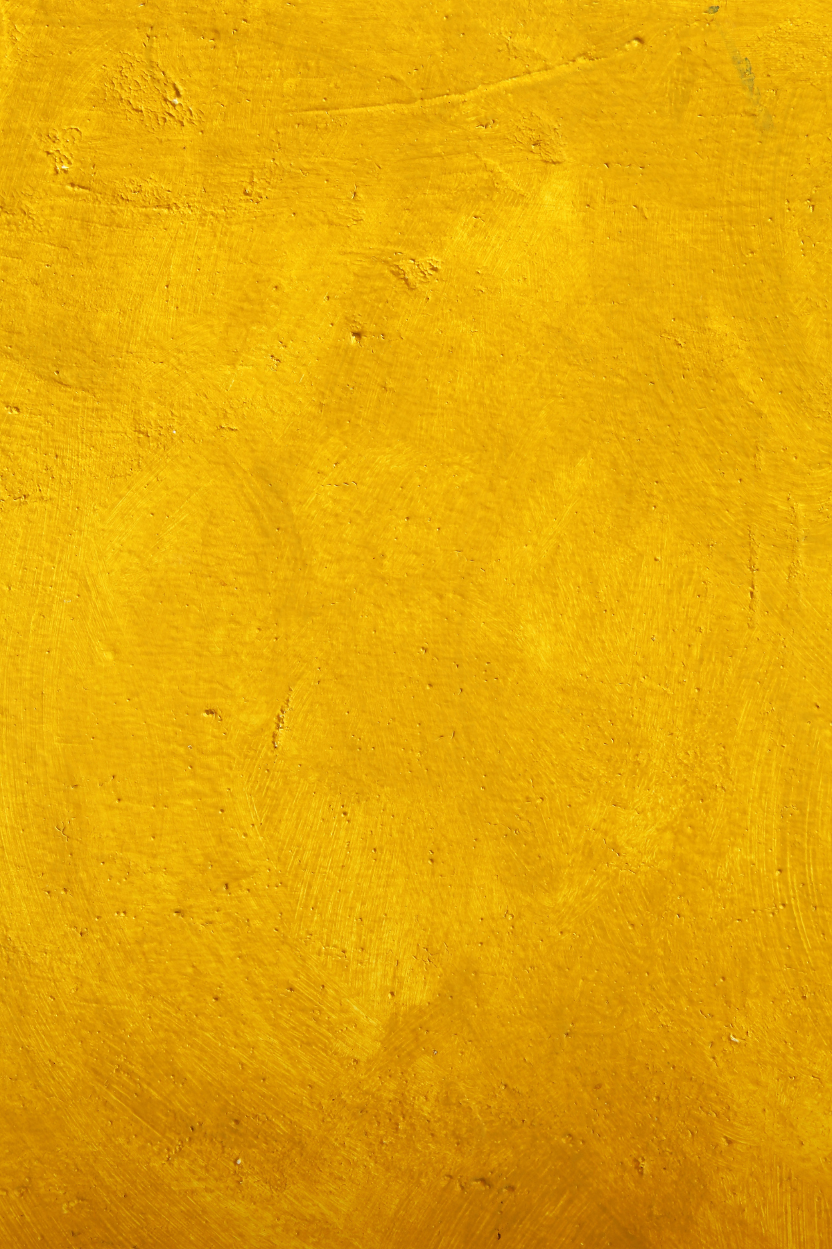 Tło fotograficzne Mustard