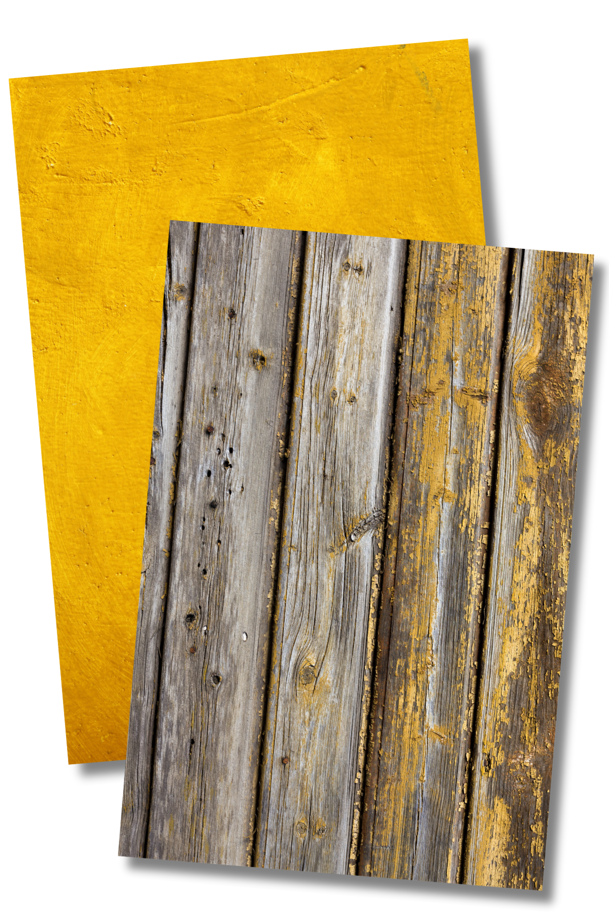 Tła fotograficzne Sunny + Mustard