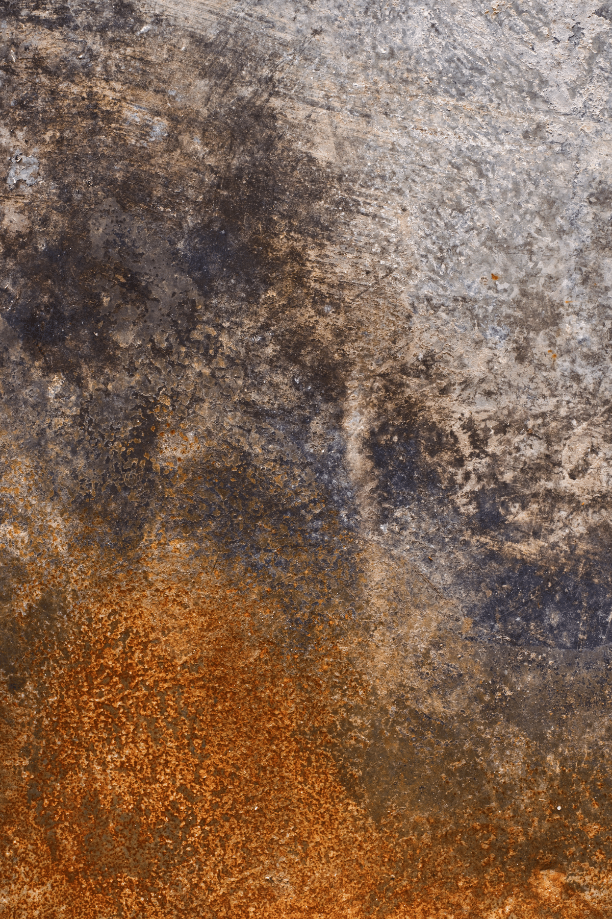 Tła fotograficzne Raven + Whiskey Splash