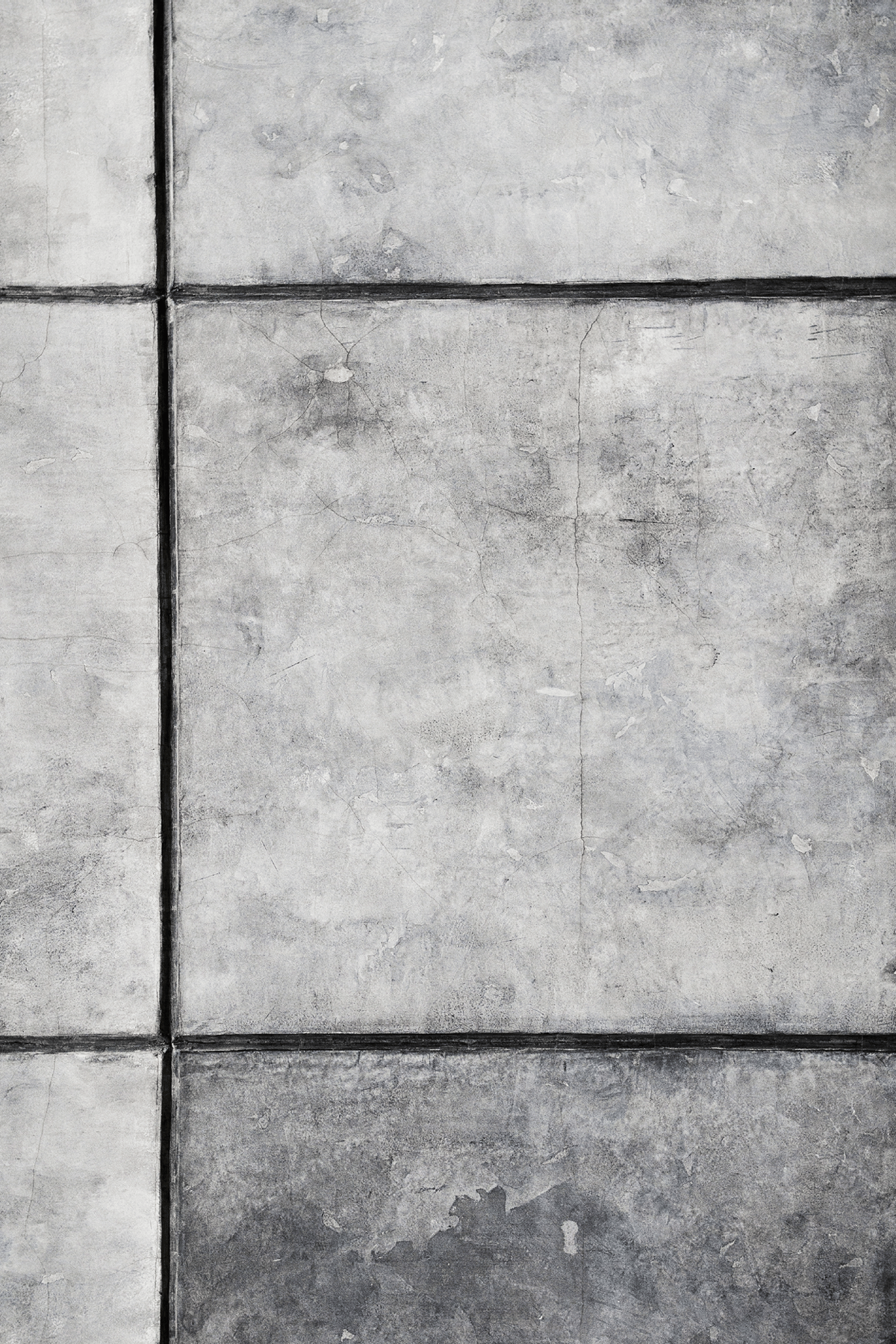 Tło fotograficzne Charlotte