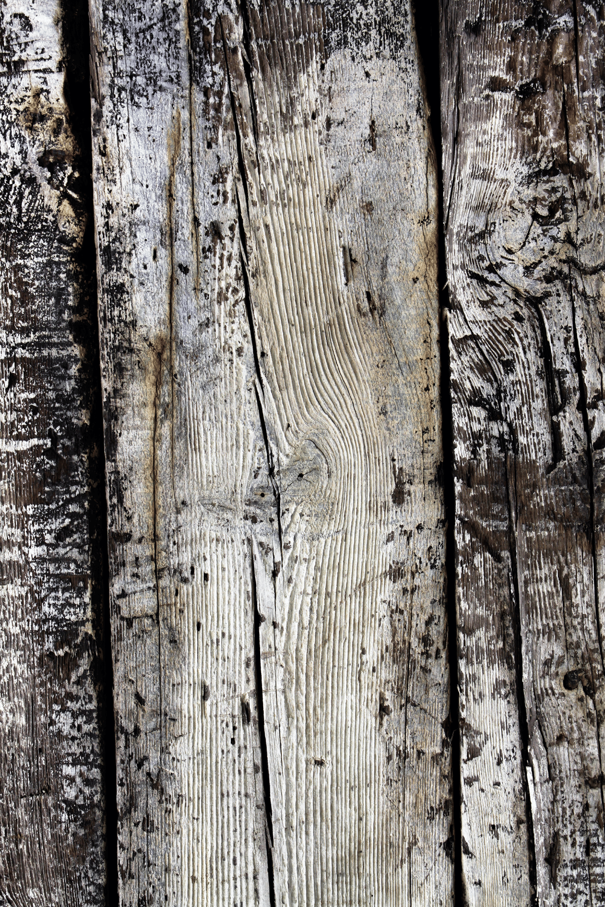 Tło fotograficzne Penny