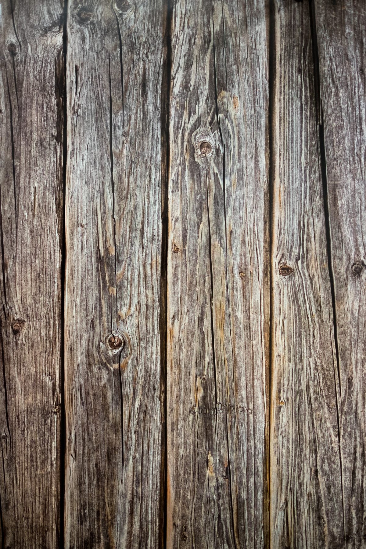 Tło fotograficzne Woody