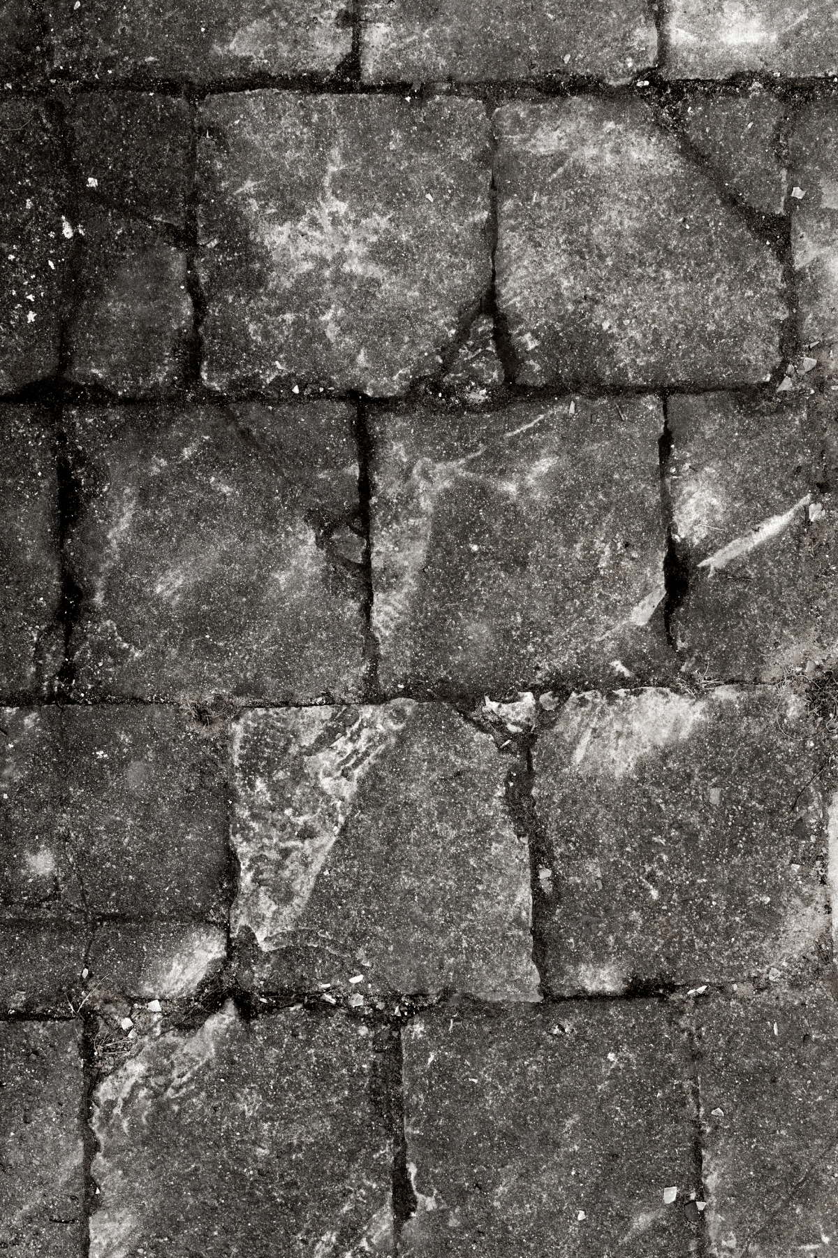 Tło fotograficzne Pavement